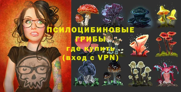 спайс Магадан